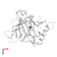 ZINC ION in PDB entry 5flt, assembly 1, top view.