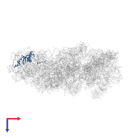 Small ribosomal subunit protein eS8 in PDB entry 5flx, assembly 1, top view.