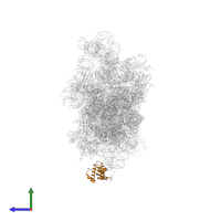 Small ribosomal subunit protein eS12 in PDB entry 5flx, assembly 1, side view.