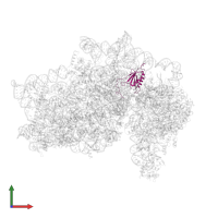 Small ribosomal subunit protein uS11 in PDB entry 5flx, assembly 1, front view.