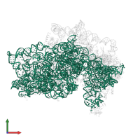 18S Ribosomal RNA in PDB entry 5flx, assembly 1, front view.