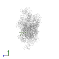 Small ribosomal subunit protein uS10 in PDB entry 5flx, assembly 1, side view.