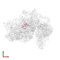 Small ribosomal subunit protein uS8 in PDB entry 5flx, assembly 1, front view.