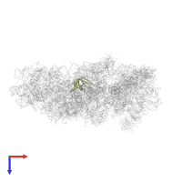 Small ribosomal subunit protein uS12 in PDB entry 5flx, assembly 1, top view.