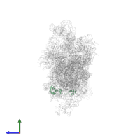 Small ribosomal subunit protein eS24 in PDB entry 5flx, assembly 1, side view.