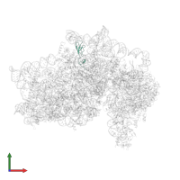 Small ribosomal subunit protein eS27 in PDB entry 5flx, assembly 1, front view.