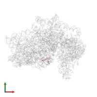 Small ribosomal subunit protein eS30 in PDB entry 5flx, assembly 1, front view.
