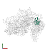 Small ribosomal subunit protein RACK1 in PDB entry 5flx, assembly 1, front view.