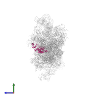 Small ribosomal subunit protein uS5 in PDB entry 5flx, assembly 1, side view.