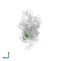 Small ribosomal subunit protein uS3 in PDB entry 5flx, assembly 1, side view.