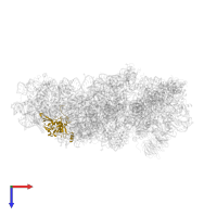 Small ribosomal subunit protein eS4, Y isoform 1 in PDB entry 5flx, assembly 1, top view.