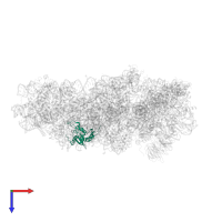 Small ribosomal subunit protein eS7 in PDB entry 5flx, assembly 1, top view.