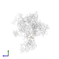 DNA-directed RNA polymerases I, II, and III subunit RPABC4 in PDB entry 5fmf, assembly 1, side view.