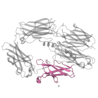 The deposited structure of PDB entry 5fo8 contains 1 copy of Pfam domain PF17789 (Macroglobulin domain MG4) in Complement C3 beta chain. Showing 1 copy in chain A.