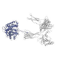 The deposited structure of PDB entry 5fo8 contains 1 copy of Pfam domain PF07678 (A-macroglobulin TED domain) in Complement C3b alpha' chain. Showing 1 copy in chain B.