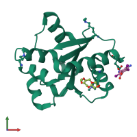 PDB entry 5for coloured by chain, front view.