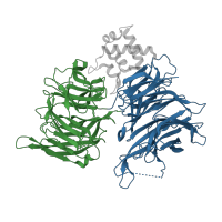 The deposited structure of PDB entry 5fqd contains 4 copies of CATH domain 2.130.10.10 (Methylamine Dehydrogenase; Chain H) in DNA damage-binding protein 1. Showing 2 copies in chain D.