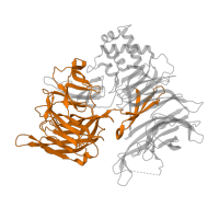 The deposited structure of PDB entry 5fqd contains 2 copies of Pfam domain PF10433 (Mono-functional DNA-alkylating methyl methanesulfonate N-term) in DNA damage-binding protein 1. Showing 1 copy in chain D.