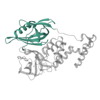 The deposited structure of PDB entry 5fqd contains 2 copies of CATH domain 2.30.130.40 (Archaeosine Trna-guanine Transglycosylase; Chain: A, domain 4) in Protein cereblon. Showing 1 copy in chain B.