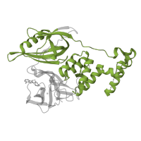 The deposited structure of PDB entry 5fqd contains 2 copies of Pfam domain PF02190 (ATP-dependent protease La (LON) substrate-binding domain ) in Protein cereblon. Showing 1 copy in chain B.
