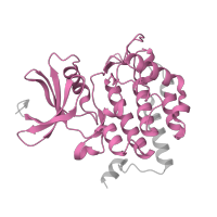 The deposited structure of PDB entry 5fqd contains 2 copies of Pfam domain PF00069 (Protein kinase domain) in Casein kinase I isoform alpha. Showing 1 copy in chain C.