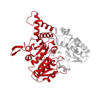 The deposited structure of PDB entry 5ft4 contains 2 copies of CATH domain 3.40.640.10 (Aspartate Aminotransferase; domain 2) in Cysteine desulfurase CsdA. Showing 1 copy in chain A.