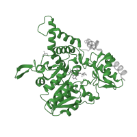 The deposited structure of PDB entry 5ft4 contains 2 copies of Pfam domain PF00266 (Aminotransferase class-V) in Cysteine desulfurase CsdA. Showing 1 copy in chain A.