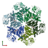 PDB entry 5ftl coloured by chain, front view.