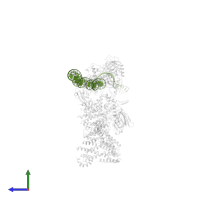 SUPER CORE PROMOTER in PDB entry 5fur, assembly 1, side view.