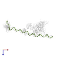 SUPER CORE PROMOTER in PDB entry 5fur, assembly 1, top view.