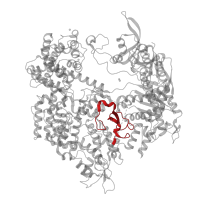 The deposited structure of PDB entry 5fw1 contains 1 copy of Pfam domain PF13395 (HNH endonuclease) in CRISPR-associated endonuclease Cas9/Csn1. Showing 1 copy in chain B.
