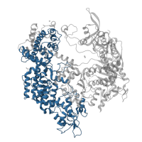 The deposited structure of PDB entry 5fw1 contains 1 copy of Pfam domain PF16592 (REC lobe of CRISPR-associated endonuclease Cas9) in CRISPR-associated endonuclease Cas9/Csn1. Showing 1 copy in chain B.