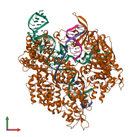 PDB entry 5fw1 coloured by chain, front view.