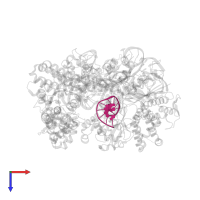 NON-TARGET DNA STRAND in PDB entry 5fw1, assembly 1, top view.