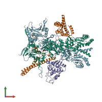 PDB entry 5fwp coloured by chain, front view.