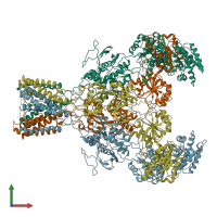 PDB entry 5fxi coloured by chain, front view.