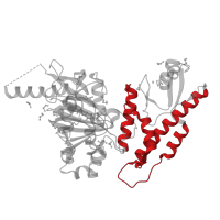 The deposited structure of PDB entry 5fym contains 2 copies of CATH domain 1.20.58.1370 (Methane Monooxygenase Hydroxylase; Chain G, domain 1) in Histone demethylase UTY. Showing 1 copy in chain B.