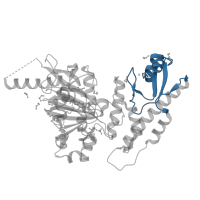 The deposited structure of PDB entry 5fym contains 2 copies of CATH domain 2.10.110.20 (Cysteine Rich Protein) in Histone demethylase UTY. Showing 1 copy in chain B.