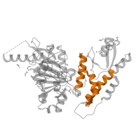 The deposited structure of PDB entry 5fym contains 2 copies of Pfam domain PF21322 (Lysine-specific demethylase 6/UTY, C-terminal helical domain) in Histone demethylase UTY. Showing 1 copy in chain B.