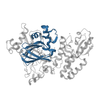 The deposited structure of PDB entry 5fys contains 1 copy of Pfam domain PF02373 (JmjC domain, hydroxylase) in Lysine-specific demethylase 5B. Showing 1 copy in chain A.