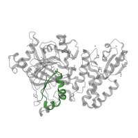 The deposited structure of PDB entry 5fys contains 1 copy of Pfam domain PF02375 (jmjN domain) in Lysine-specific demethylase 5B. Showing 1 copy in chain A.