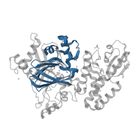 The deposited structure of PDB entry 5fyu contains 1 copy of Pfam domain PF02373 (JmjC domain, hydroxylase) in Lysine-specific demethylase 5B. Showing 1 copy in chain A.