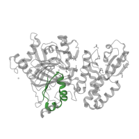 The deposited structure of PDB entry 5fyu contains 1 copy of Pfam domain PF02375 (jmjN domain) in Lysine-specific demethylase 5B. Showing 1 copy in chain A.