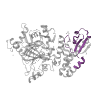 The deposited structure of PDB entry 5fyu contains 1 copy of Pfam domain PF02928 (C5HC2 zinc finger) in Lysine-specific demethylase 5B. Showing 1 copy in chain A.