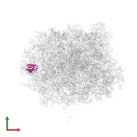 Large ribosomal subunit protein eL30 in PDB entry 5gak, assembly 1, front view.