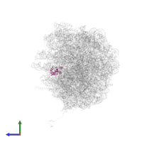 Large ribosomal subunit protein eL30 in PDB entry 5gak, assembly 1, side view.