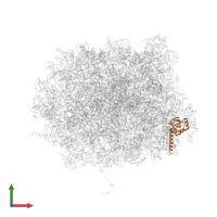 Large ribosomal subunit protein eL14A in PDB entry 5gak, assembly 1, front view.