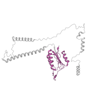 The deposited structure of PDB entry 5gap contains 1 copy of Pfam domain PF06544 (Protein of unknown function (DUF1115)) in U4/U6 small nuclear ribonucleoprotein PRP3. Showing 1 copy in chain J [auth G].