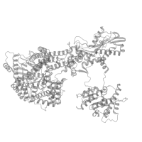 The deposited structure of PDB entry 5gap contains 1 copy of Pfam domain PF08084 (PROCT (NUC072) domain) in Pre-mRNA-splicing factor 8. Showing 1 copy in chain E [auth A] (this domain is out of the observed residue ranges!).