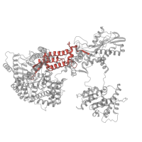 The deposited structure of PDB entry 5gap contains 1 copy of Pfam domain PF10597 (U5-snRNA binding site 2 of PrP8) in Pre-mRNA-splicing factor 8. Showing 1 copy in chain E [auth A].